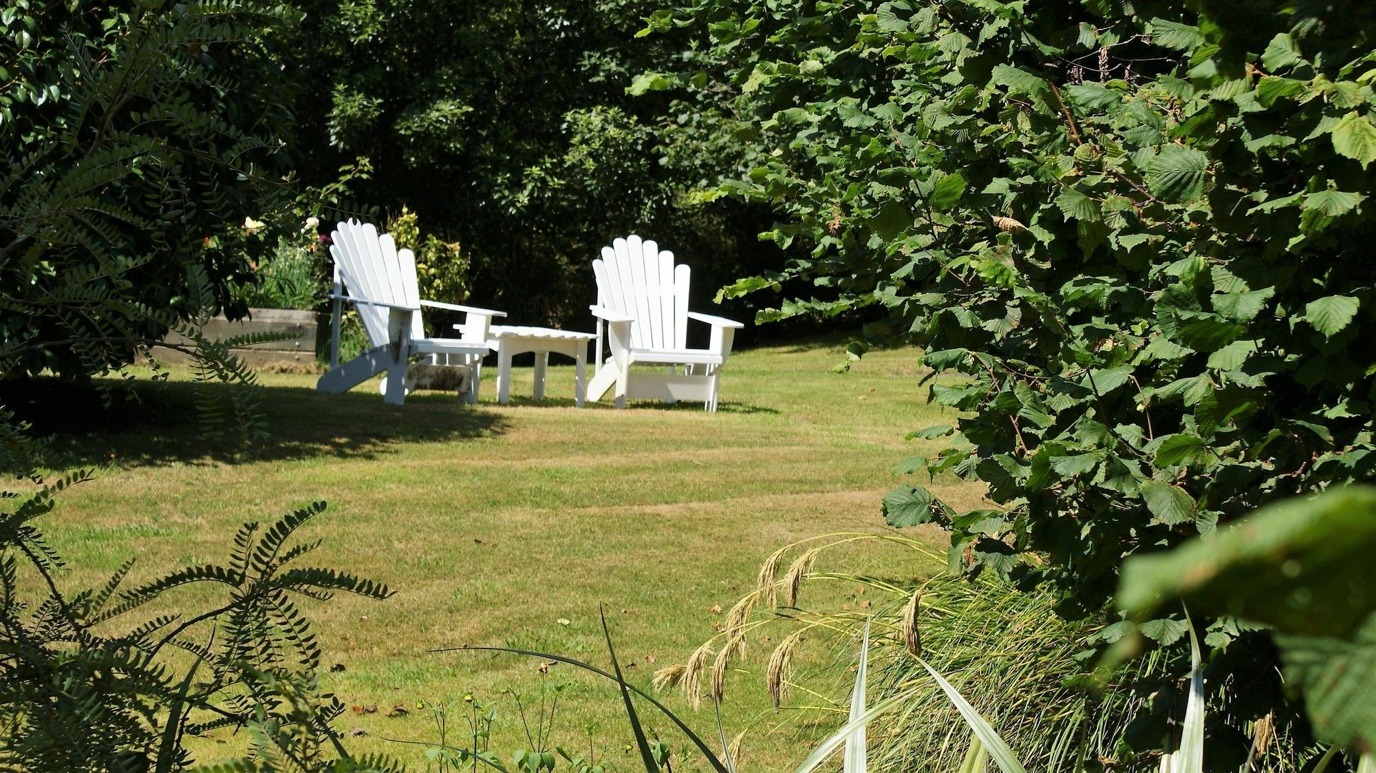 Chalet Eiger Taupo Exterior photo
